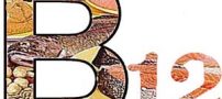 غذاهایی که منبع ویتامین B 12 هستند