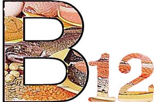غذاهایی که منبع ویتامین B 12 هستند
