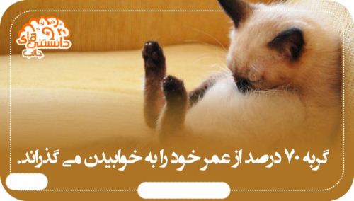 عکس نوشته های دانستنی و بسیار جالب (14)
