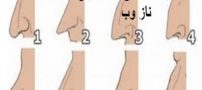 شخصیت شناسی شکل بینی