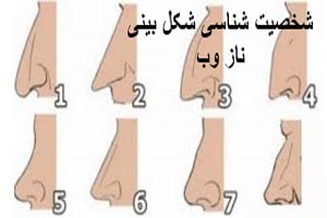 شخصیت شناسی شکل بینی شخصیت شناسی شکل بینی