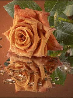 زیباترین عکس نوشته های متحرک صبح بخیر (3)