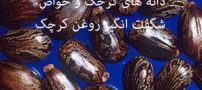 روغن کرچک و خواص شگفت انگیز آن