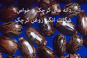 روغن کرچک و خواص شگفت انگیز آن