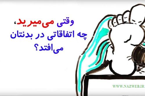 اینفوگرافی بدن انسان پس از مرگ 16+