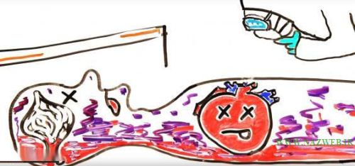 اینفوگرافی بدن انسان پس از مرگ 16+
