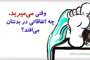 اینفوگرافی بدن انسان پس از مرگ 16+