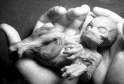 عکس های تکان دهنده موجودات بیگانه فضایی 18+