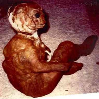 عکس های تکان دهنده موجودات بیگانه فضایی 18+