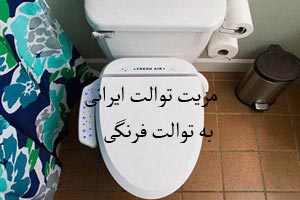 مزیت توالت ایرانی به توالت فرنگی را بدانید مزیت توالت ایرانی به توالت فرنگی را بدانید