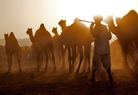 برترین تصاویر دیدنی و خبری روز دنیا (109)