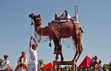 برترین تصاویر دیدنی و خبری روز دنیا (109) برترین تصاویر دیدنی و خبری روز دنیا (109)