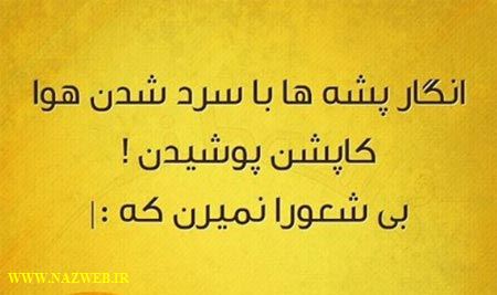 عکس نوشته های طنز و خیلی خنده دار (13)