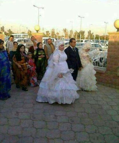 بانک عکس های خنده دار و بسیار دیدنی (31)