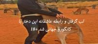 لب گرفتن و رابطه عاشقانه این دختر با کانگورو ! تصاویر 18+