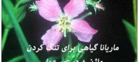 تنگ کردن واژن با ماریانا و روش های آن