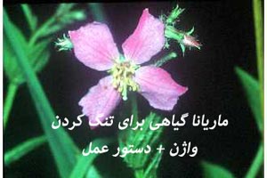تنگ کردن واژن با ماریانا و روش های آن