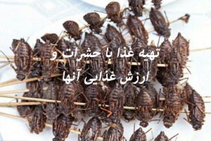 غذاهای تهیه شده از حشرات با ارزش غذایی !! + عکس غذاهای تهیه شده از حشرات با ارزش غذایی !! + عکس