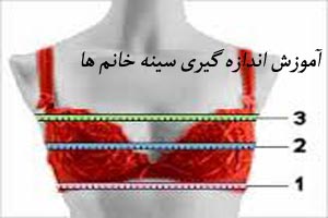 آموزش اندازه گیری سایز سینه و سوتین خانم ها آموزش اندازه گیری سایز سینه و سوتین خانم ها