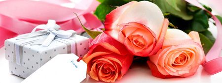 عکس گل های رز، عاشقانه و زیبا (1)