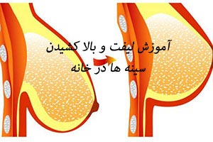 آموزش تصویری لیفت و بالا کشیدن سینه در خانه آموزش تصویری لیفت و بالا کشیدن سینه در خانه