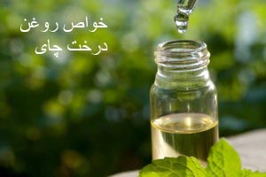 خواص روغن درخت چای خواص روغن درخت چای