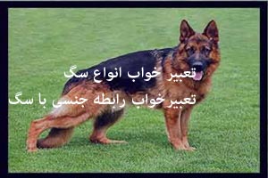 تعبیر خواب رابطه جنسی با سگ و دیدن انواع سگ