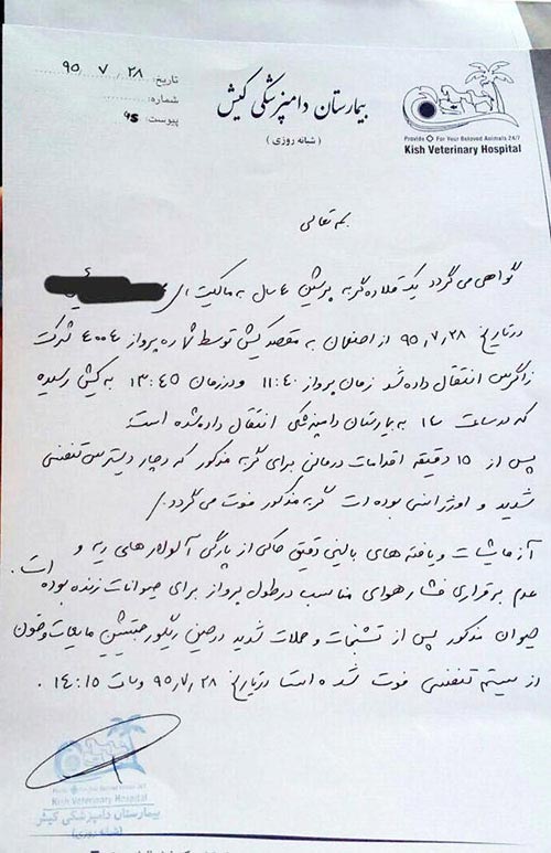 گواهی فوت گربه زیبا در پرواز اصفهان - کیش (عکس)