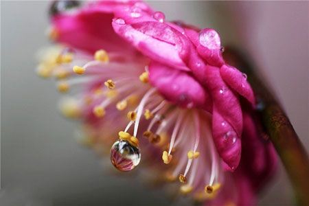 عکس های داغ و دیدنی خبری روز (115)