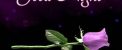 عکس نوشته و جملات زیبای شب بخیر برای تلگرام (1)