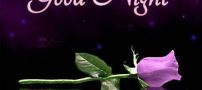 عکس نوشته و جملات زیبای شب بخیر برای تلگرام (1)