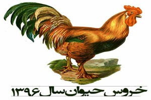 سال خروس چه سالی است