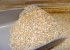 معجون و گیاه شگفت انگیز سویق جو + طرز تهیه