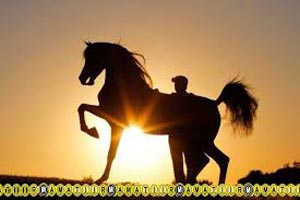 داستان زیبای دزدیدن جوانمردی داستان زیبای دزدیدن جوانمردی