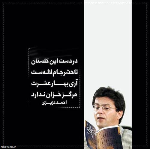 مینی شعرهای تصویری و بسیار زیبای احساسی (14)