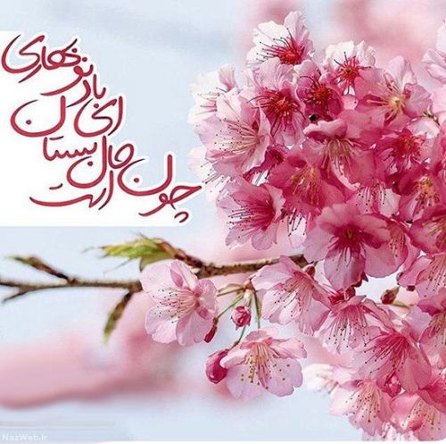 مینی شعرهای تصویری و بسیار زیبای احساسی (14)