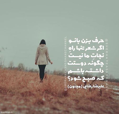 مینی شعرهای تصویری و بسیار زیبای احساسی (14)