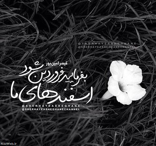 مینی شعرهای تصویری و بسیار زیبای احساسی (14)