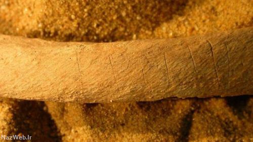 تصاویر قطعه قطعه کردن اجساد برای جلوگیری از آخرالزمان زامبی!
