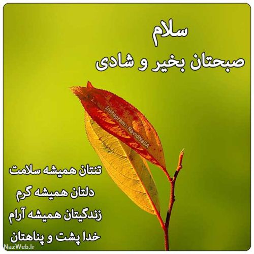 عکس نوشته و متن های زیبای صبح بخیر (5)