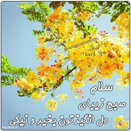 عکس نوشته و متن های زیبای صبح بخیر (5)