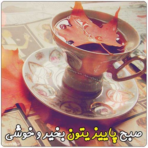 عکس نوشته و متن های زیبای صبح بخیر (5)