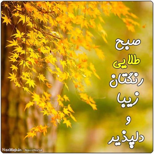 عکس نوشته و متن های زیبای صبح بخیر (5)