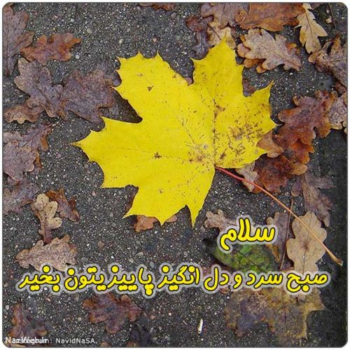 عکس نوشته و متن های زیبای صبح بخیر (5)