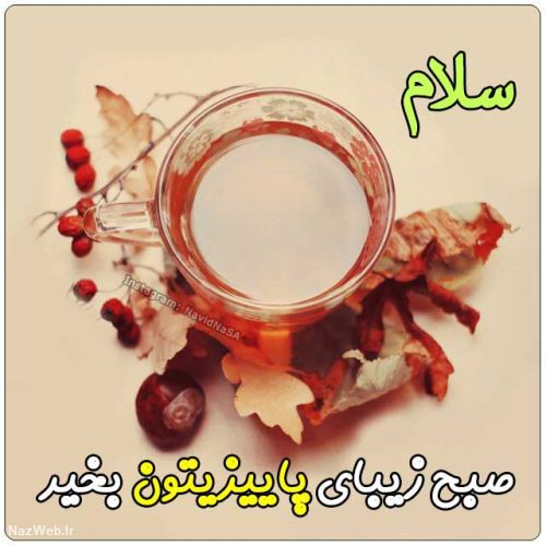 عکس نوشته و متن های زیبای صبح بخیر (5)