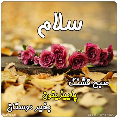 عکس نوشته و متن های زیبای صبح بخیر (5)