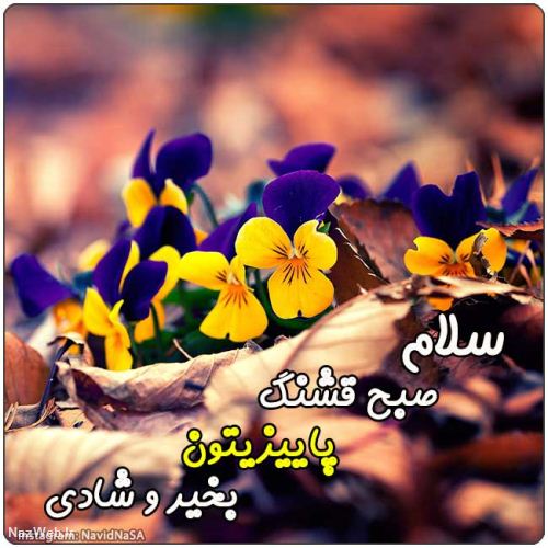 عکس نوشته و متن های زیبای صبح بخیر (5)