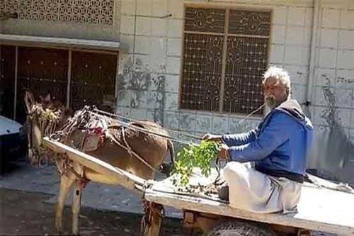 اعتیاد مردی به خوردن شاخ و برگ درختان (تصاویر) اعتیاد مردی به خوردن شاخ و برگ درختان (تصاویر)
