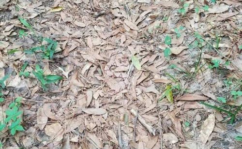 معمای خیلی سخت (تصاویر)