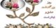گیف های تبریک روز معلم برای تلگرام و شبکه های اجتماعی